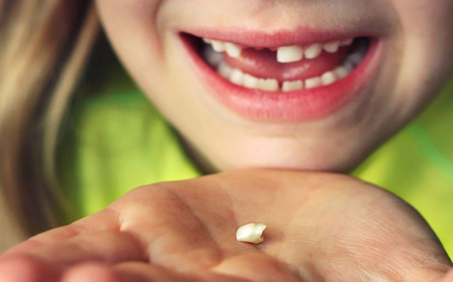 یه اتفاق ساده مثل افتادن دندون شیری می‌تونه کل کلاس رو به‌هم بریزه. تجربه واقعی از مدیریت احساسات بچه‌ها و تبدیل ترس به لبخند در کلاس زبان.